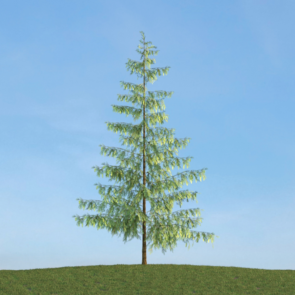 دانلود آبجکت گیاه مدل Herb-165