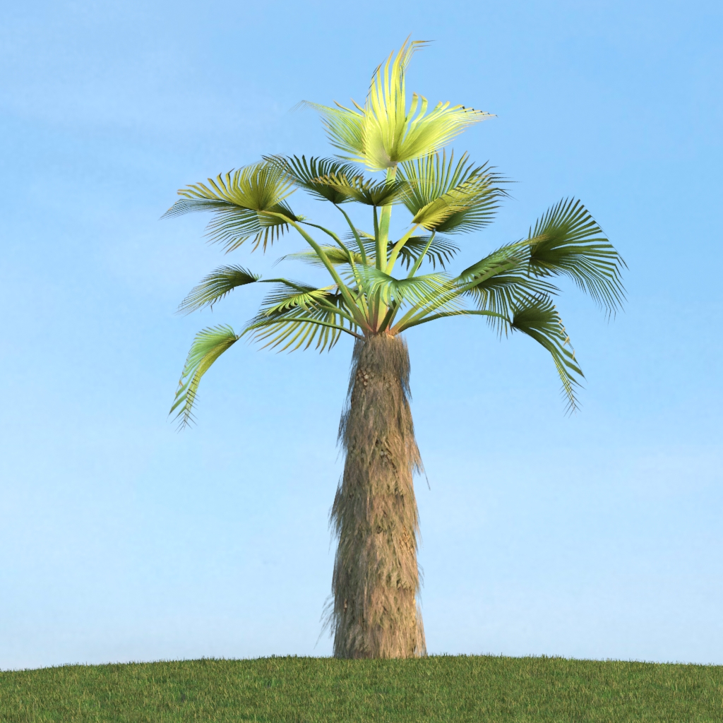 دانلود آبجکت گیاه مدل Herb-187