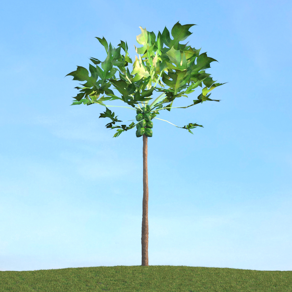 دانلود آبجکت گیاه مدل Herb-192