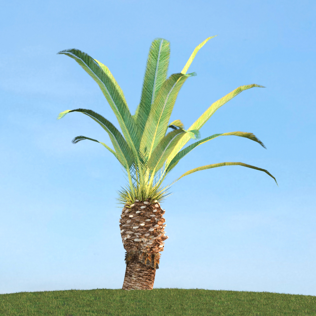 دانلود آبجکت گیاه مدل Herb-195