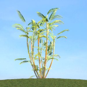 دانلود آبجکت گیاه مدل Herb-196