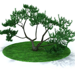 دانلود آبجکت گیاه مدل Herb-60