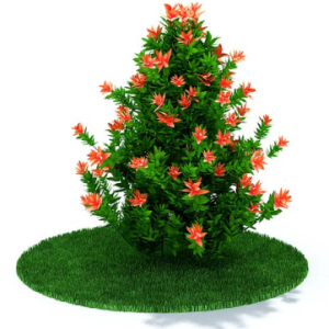دانلود آبجکت گیاه مدل Herb-84