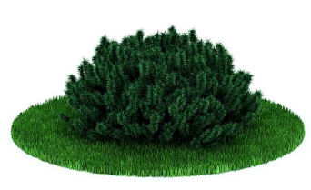 دانلود آبجکت گیاه مدل Herb-85