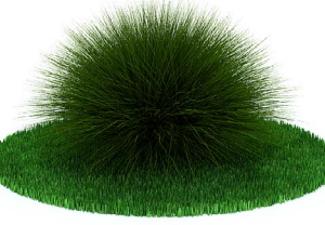 دانلود آبجکت گیاه مدل Herb-87