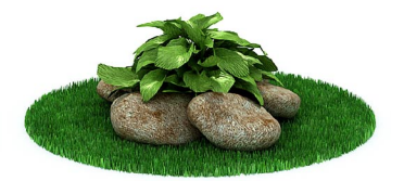 دانلود آبجکت گیاه مدل Herb-88