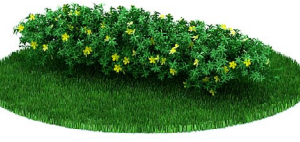 دانلود آبجکت گیاه مدل Herb-92
