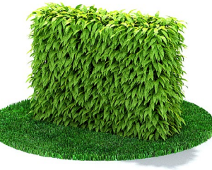 دانلود آبجکت گیاه مدل Herb-94