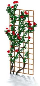 دانلود آبجکت گیاه مدل Herb-99