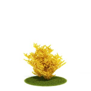 دانلود آبجکت درختچه مدل Shrub-12