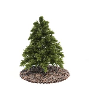 دانلود آبجکت درختچه مدل Shrub-13