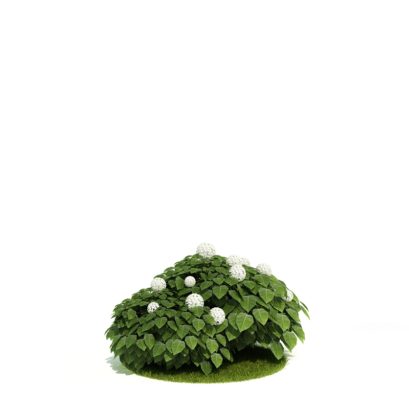 دانلود آبجکت درختچه مدل Shrub-16