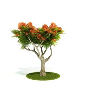 دانلود آبجکت درختچه مدل Shrub-17