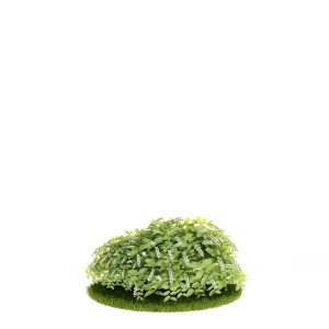 دانلود آبجکت درختچه مدل Shrub-18
