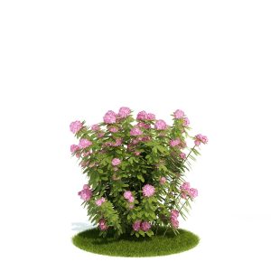 دانلود آبجکت درختچه مدل Shrub-19