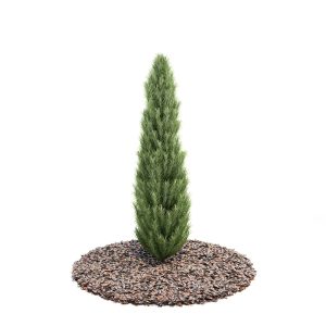 دانلود آبجکت درختچه مدل Shrub-20