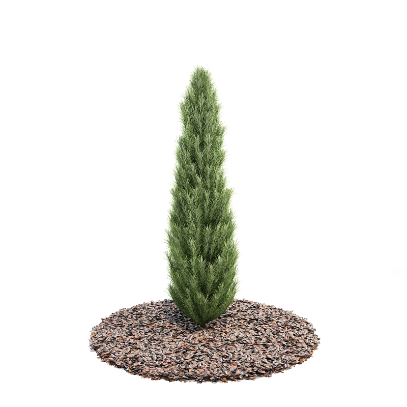 دانلود آبجکت درختچه مدل Shrub-20