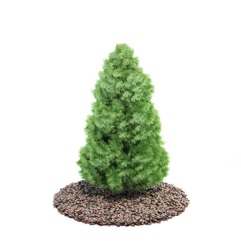 دانلود آبجکت درختچه مدل Shrub-22