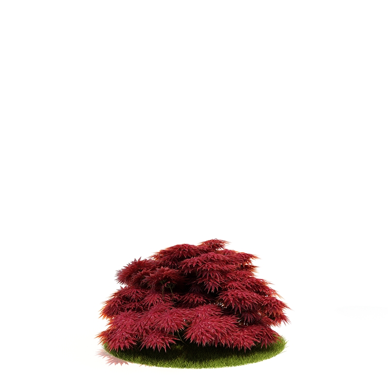 دانلود آبجکت درختچه مدل Shrub-32