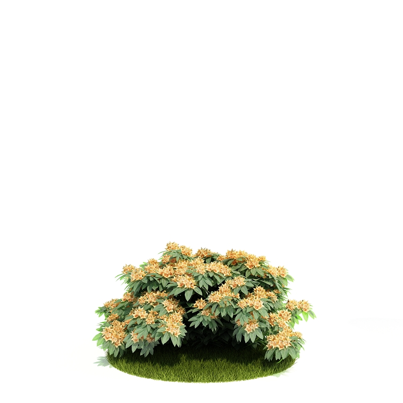 دانلود آبجکت درختچه مدل Shrub-34