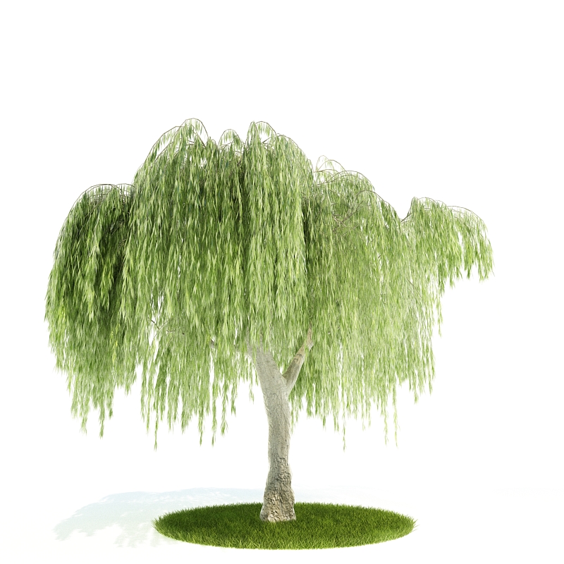 دانلود آبجکت درختچه مدل Shrub-36