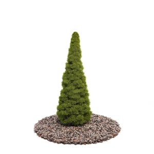 دانلود آبجکت درختچه مدل Shrub-39