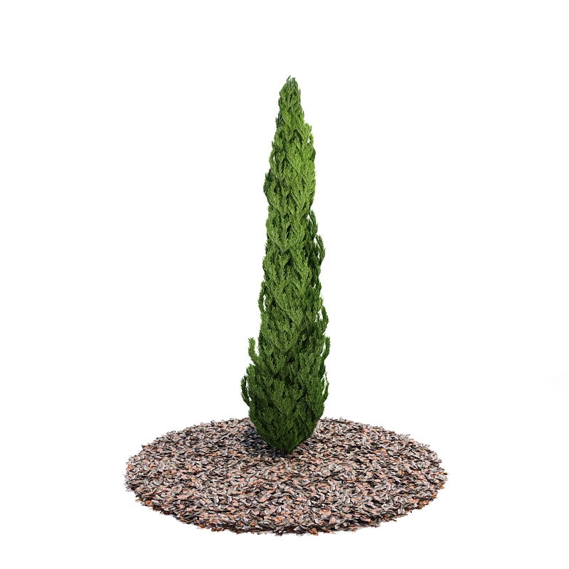 دانلود آبجکت درختچه مدل Shrub-44