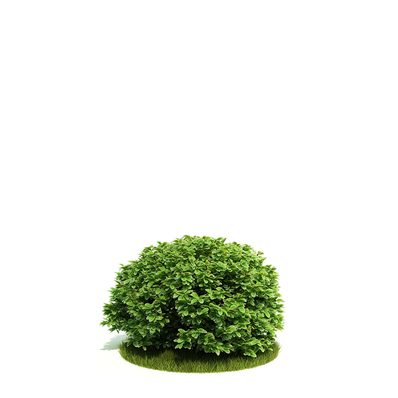 دانلود آبجکت درختچه مدل Shrub-48