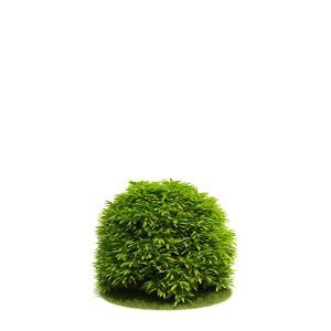 دانلود آبجکت درختچه مدل Shrub-49