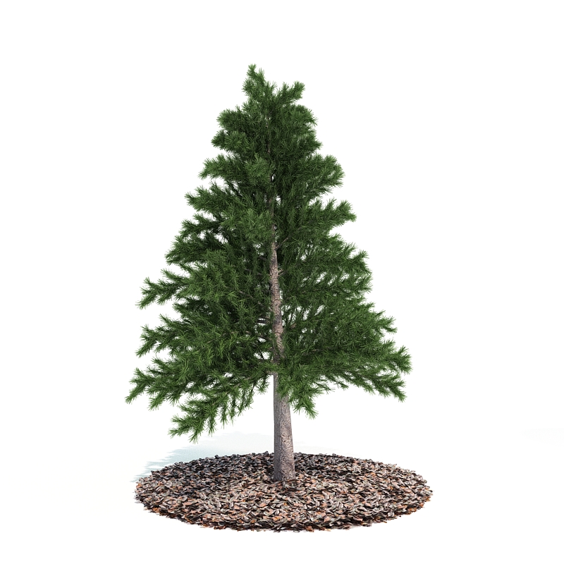 دانلود آبجکت درختچه مدل Shrub-7
