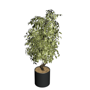 دانلود آبجکت گل مدل Floret-10