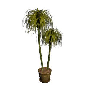 دانلود آبجکت گل مدل Floret-14