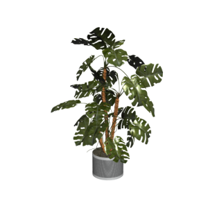 دانلود آبجکت گل مدل Floret-17