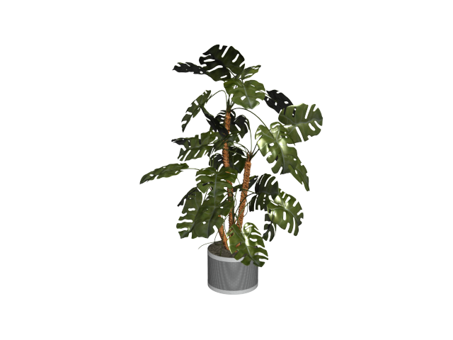 دانلود آبجکت گل مدل Floret-17