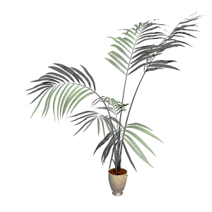 دانلود آبجکت گل مدل Floret-2