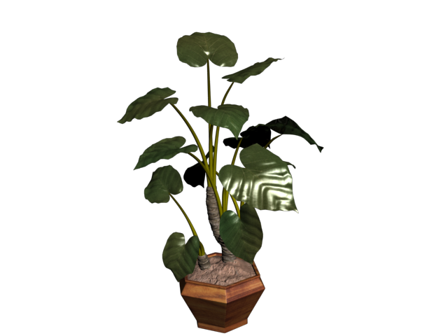 دانلود آبجکت گل مدل Floret-22