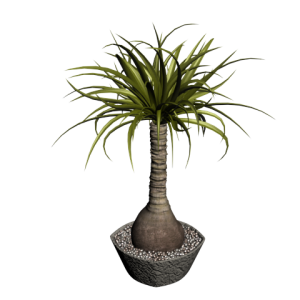دانلود آبجکت گل مدل Floret-24