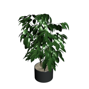دانلود آبجکت گل مدل Floret-26