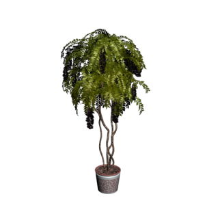 دانلود آبجکت گل مدل Floret-27