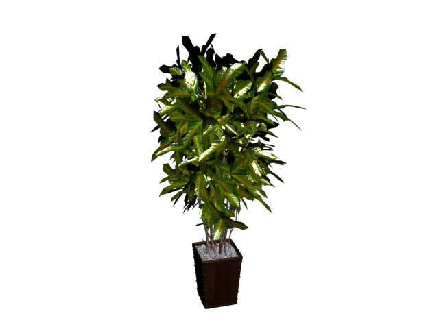 دانلود آبجکت گل مدل Floret-28