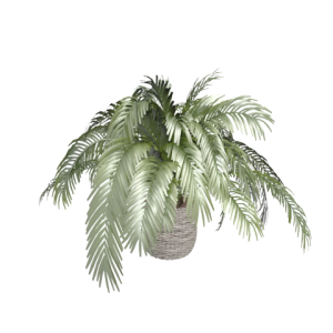 دانلود آبجکت گل مدل Floret-3