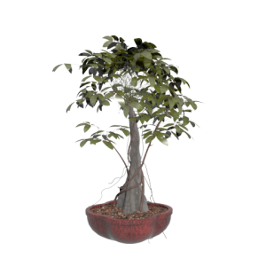 دانلود آبجکت گل مدل Floret-31