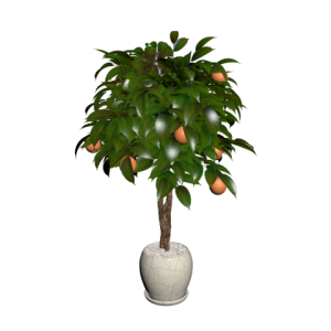 دانلود آبجکت گل مدل Floret-32