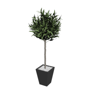 دانلود آبجکت گل مدل Floret-35
