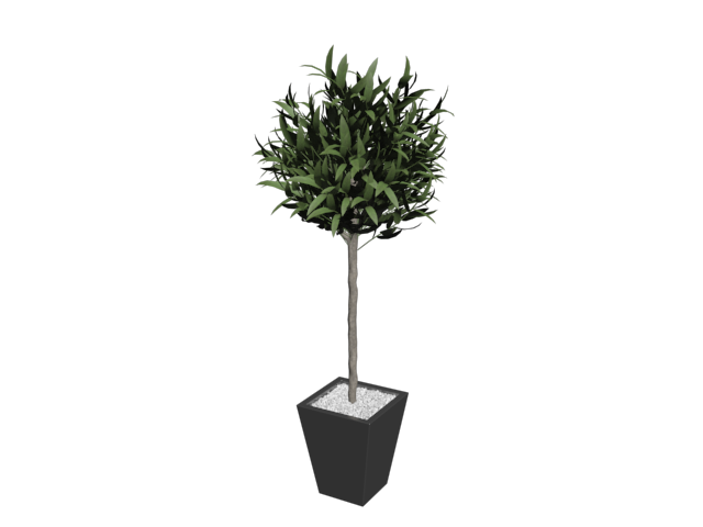 دانلود آبجکت گل مدل Floret-35