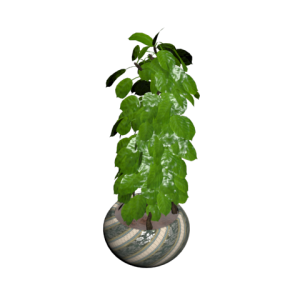 دانلود آبجکت گل مدل Floret-36