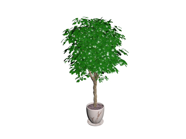 دانلود آبجکت گل مدل Floret-39