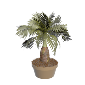 دانلود آبجکت گل مدل Floret-4