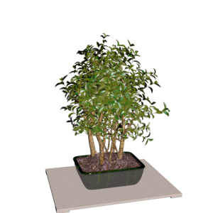 دانلود آبجکت گل مدل Floret-40