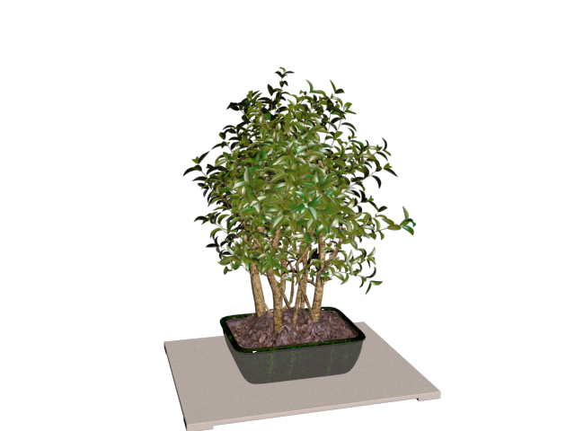 دانلود آبجکت گل مدل Floret-40